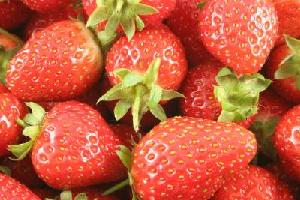 Fragola 1_4002